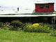 Dorrigo NSW 2453