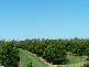 - KOOLBOO ROAD, SOUTH KOLAN, Bundaberg QLD 4670
