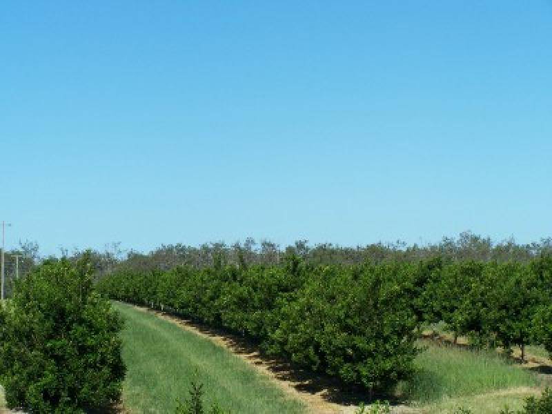 - KOOLBOO ROAD, SOUTH KOLAN, Bundaberg QLD 4670