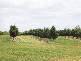 - KOOLBOO ROAD, SOUTH KOLAN, Bundaberg QLD 4670