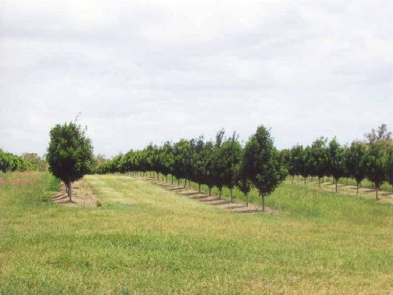 - KOOLBOO ROAD, SOUTH KOLAN, Bundaberg QLD 4670