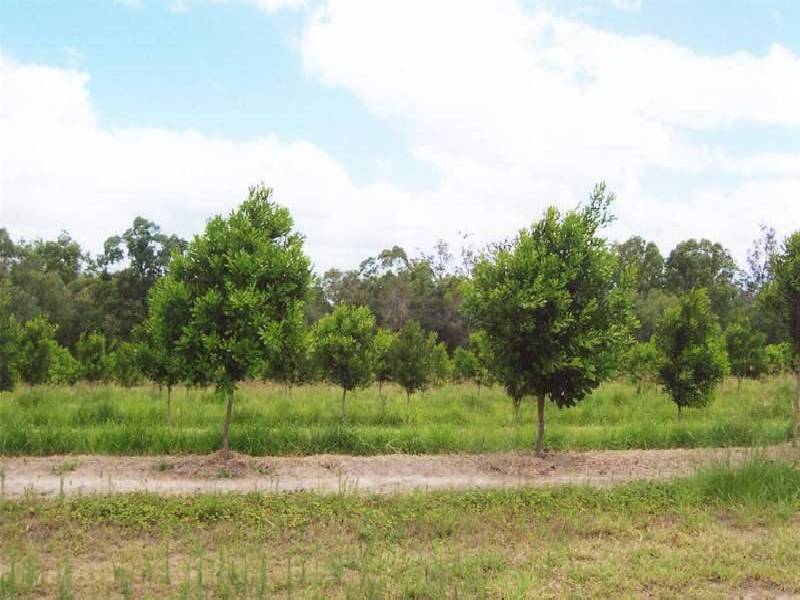 - KOOLBOO ROAD, SOUTH KOLAN, Bundaberg QLD 4670
