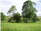 Spring Grove NSW 2470