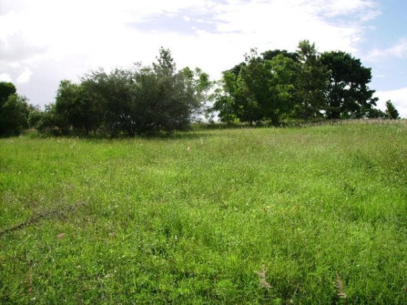 Spring Grove NSW 2470