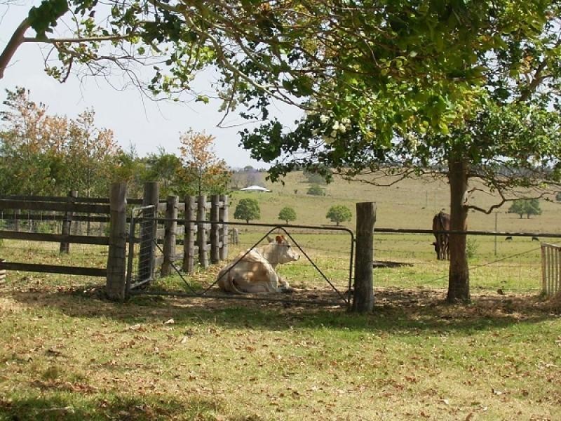 Doubtful Creek NSW 2470