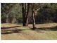 75 Mount Street, Dundurrabin, Dorrigo NSW 2453