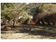 75 Mount Street, Dundurrabin, Dorrigo NSW 2453