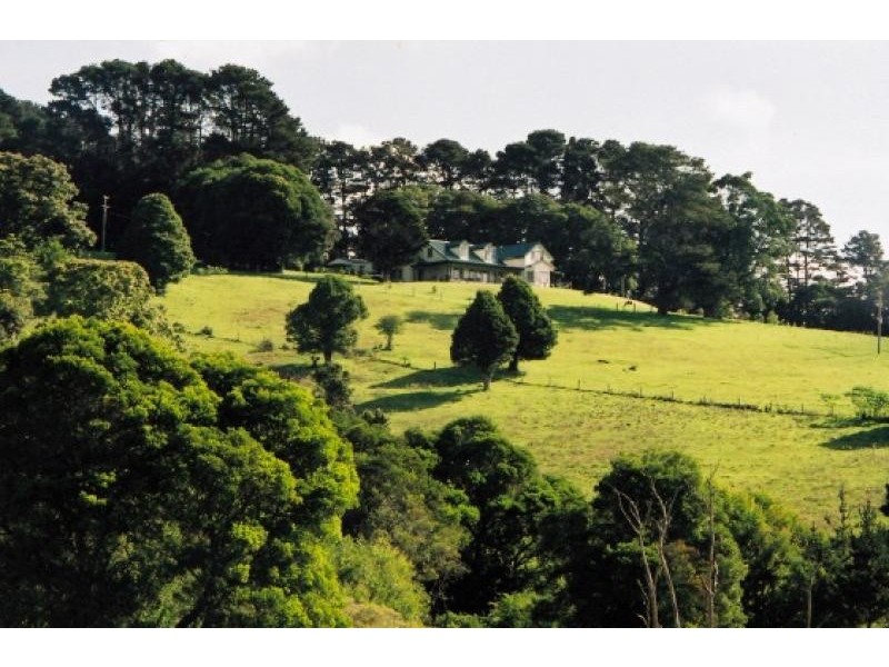 4948 Waterfall Way, Dorrigo NSW 2453
