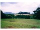 4948 Waterfall Way, Dorrigo NSW 2453