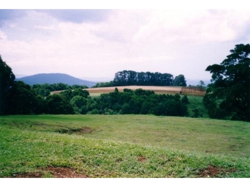 4948 Waterfall Way, Dorrigo NSW 2453