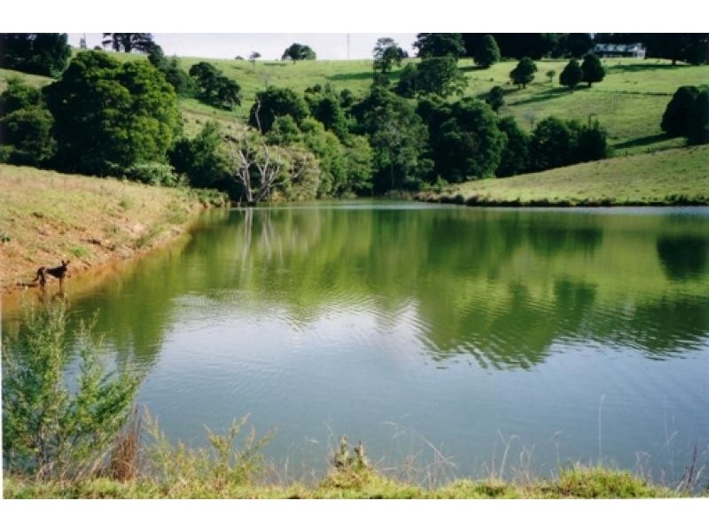 4948 Waterfall Way, Dorrigo NSW 2453
