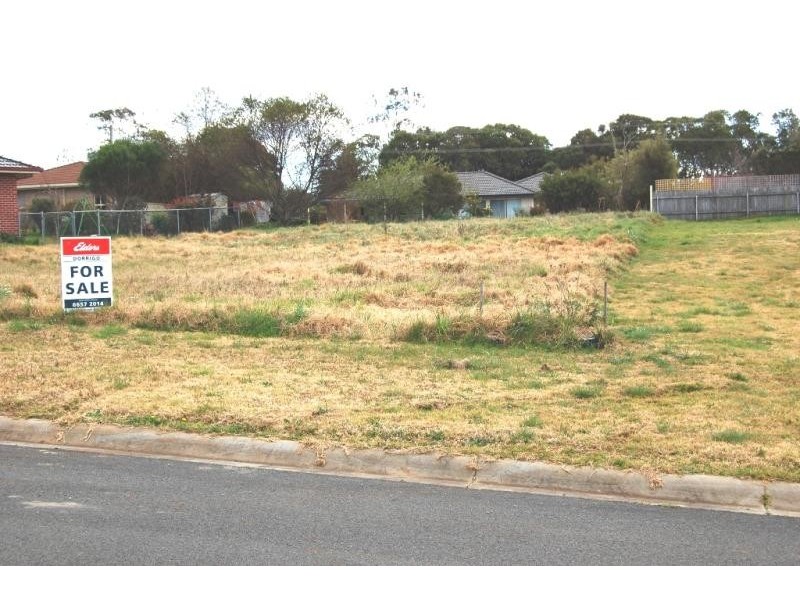 12 Cofton Close, Dorrigo NSW 2453