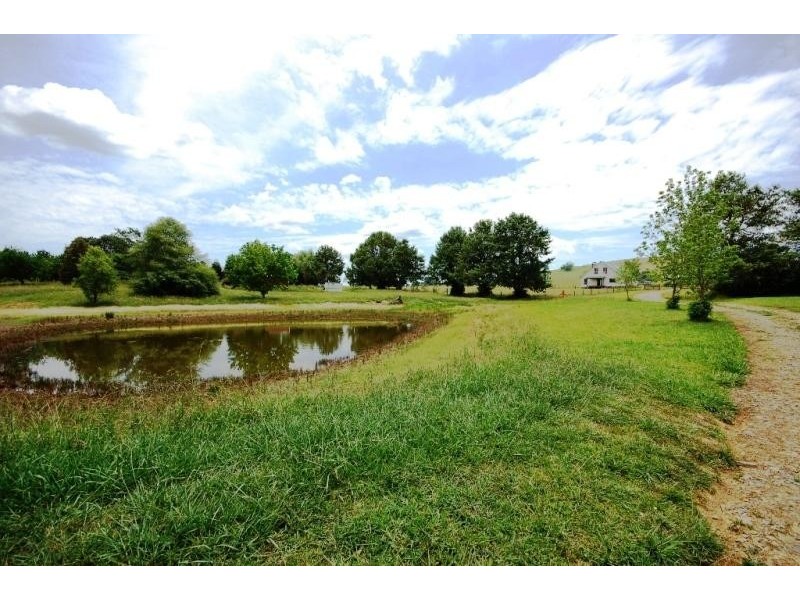 453 Whisky Creek Road, Dorrigo NSW 2453
