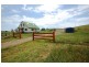 453 Whisky Creek Road, Dorrigo NSW 2453