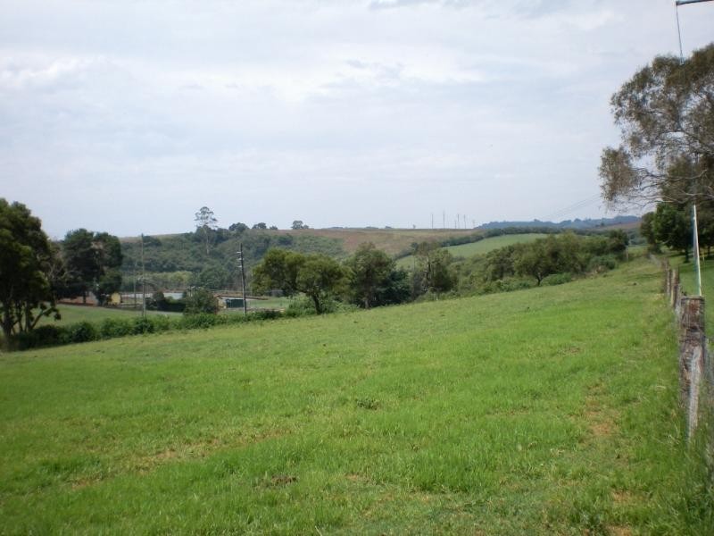 21 Vine Street, Dorrigo NSW 2453