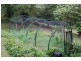 25 Richards Road, Megan via, Dorrigo NSW 2453