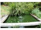 25 Richards Road, Megan via, Dorrigo NSW 2453