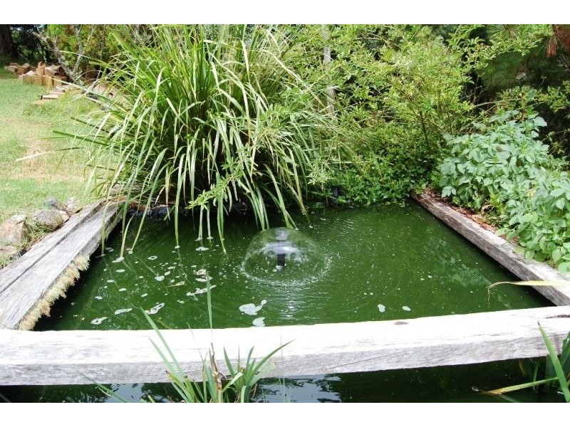 25 Richards Road, Megan via, Dorrigo NSW 2453