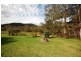 1829 Tyringham Road, Dorrigo NSW 2453