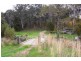 1829 Tyringham Road, Dorrigo NSW 2453