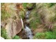 1829 Tyringham Road, Dorrigo NSW 2453