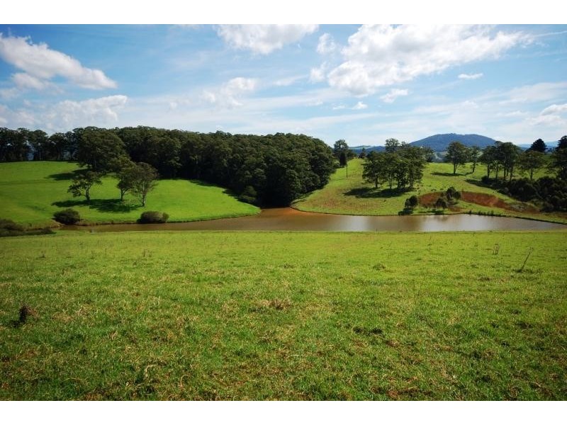 Dorrigo NSW 2453