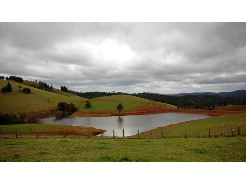 44 Lower Bielsdown Road, Dorrigo NSW 2453