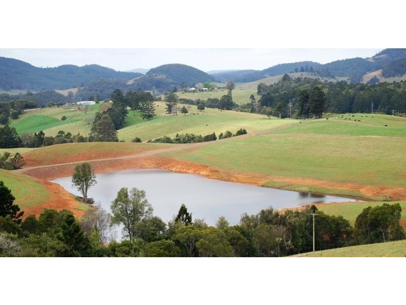 44 Lower Bielsdown Road, Dorrigo NSW 2453