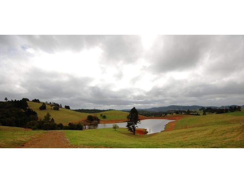 44 Lower Bielsdown Road, Dorrigo NSW 2453