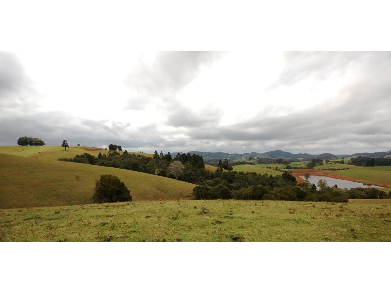 44 Lower Bielsdown Road, Dorrigo NSW 2453