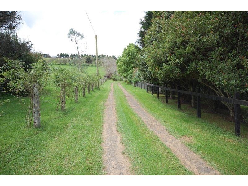 3 Tamarind Avenue, Dorrigo NSW 2453