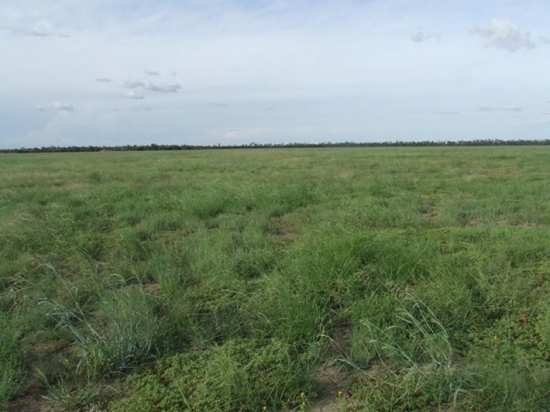 Westmar QLD 4422
