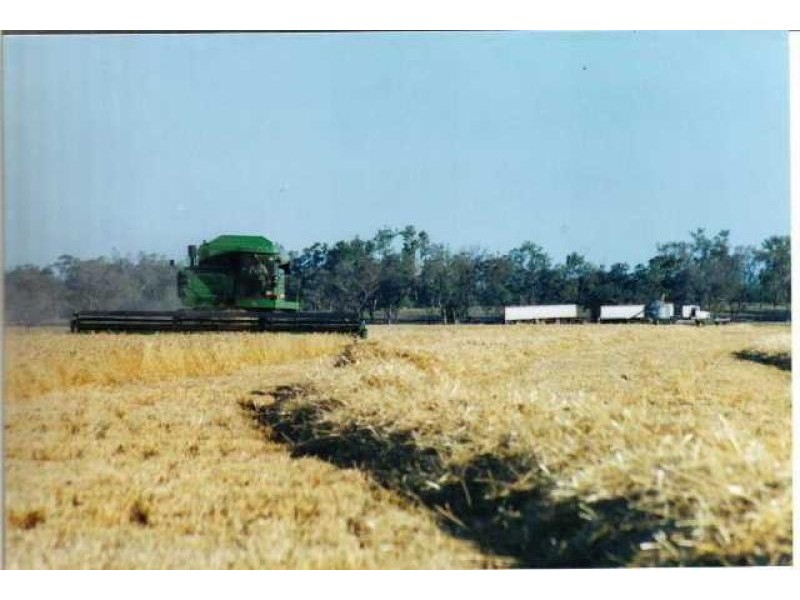 St George QLD 4487