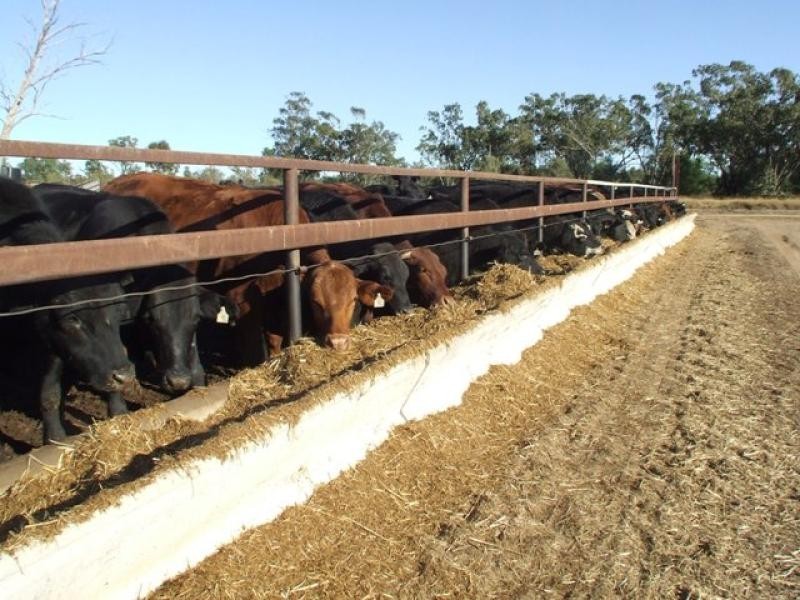 St George QLD 4487