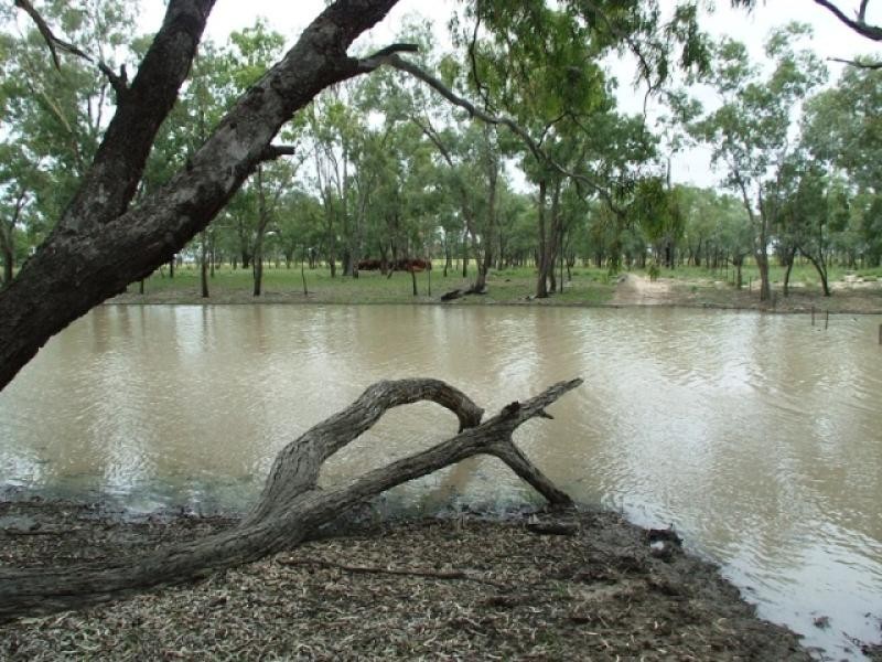 180 Commissioners Point Road, St George QLD 4487