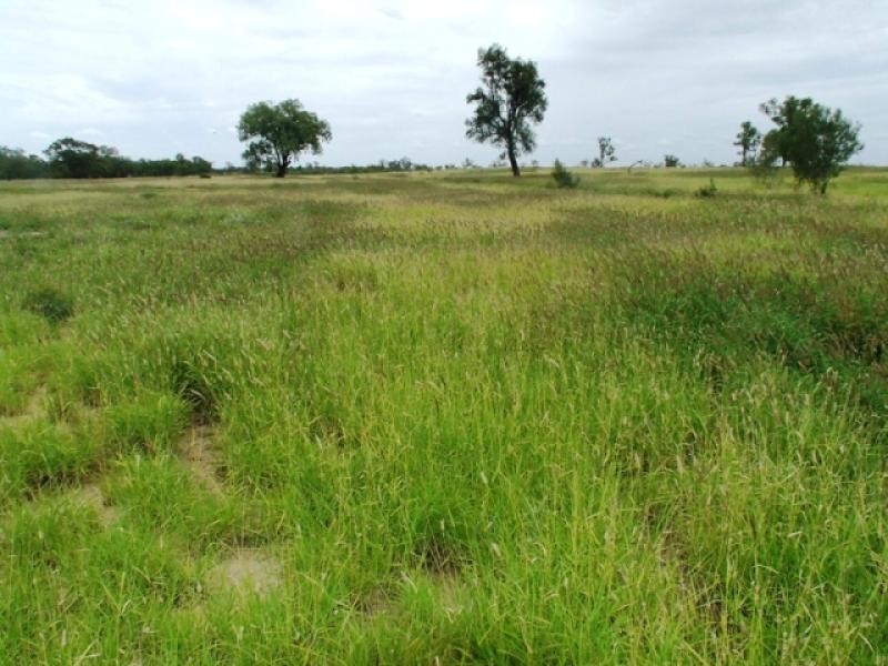 180 Commissioners Point Road, St George QLD 4487