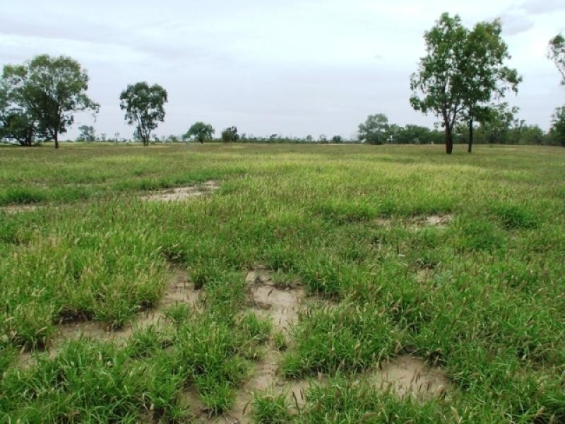 180 Commissioners Point Road, St George QLD 4487