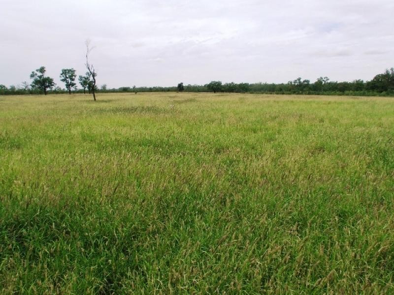 180 Commissioners Point Road, St George QLD 4487