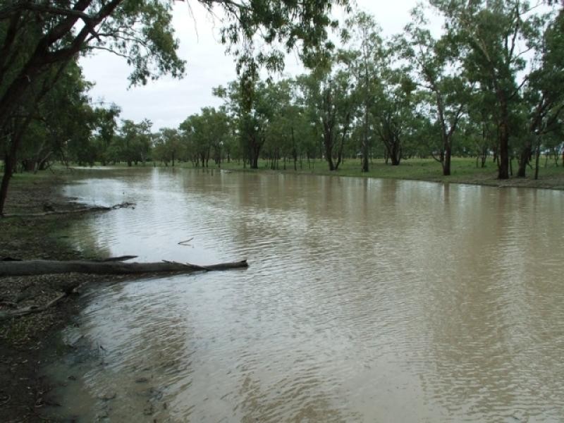 180 Commissioners Point Road, St George QLD 4487