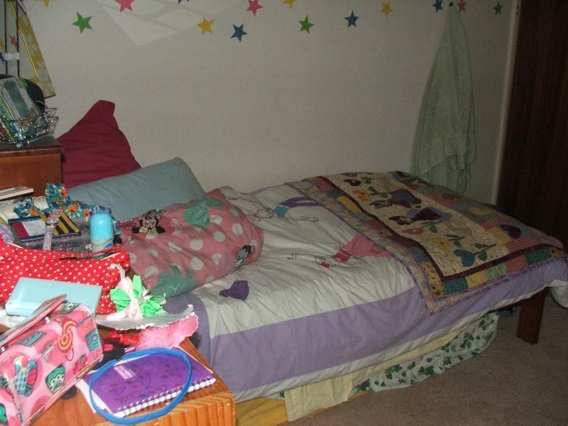 9 Philip Street, St George QLD 4487