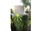 81 Victoria Street, St George QLD 4487
