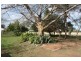 12155 Carnarvon Highway, St George QLD 4487