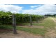 157 Whytes Road, St George QLD 4487