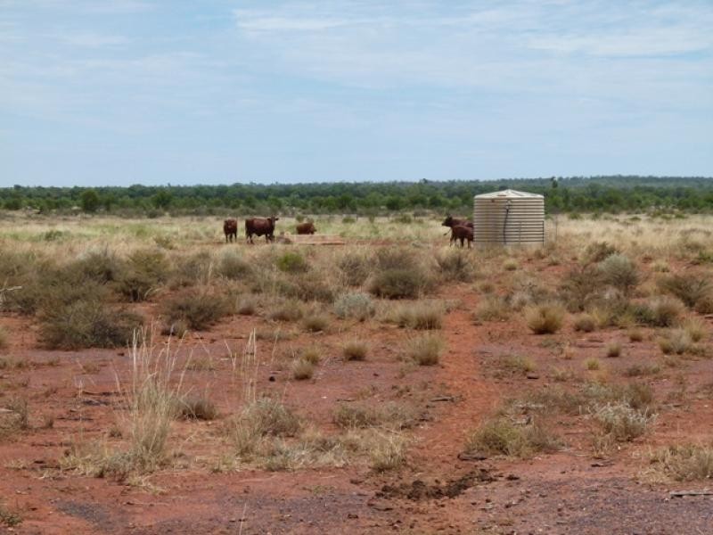 5040 Humeburn Road, Cunnamulla QLD 4490