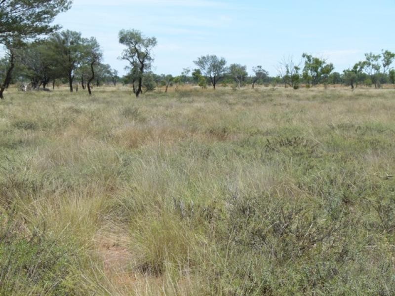 5040 Humeburn Road, Cunnamulla QLD 4490