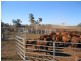 Cunnamulla QLD 4490