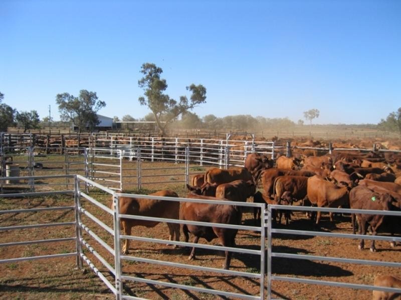 Cunnamulla QLD 4490