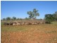 Cunnamulla QLD 4490