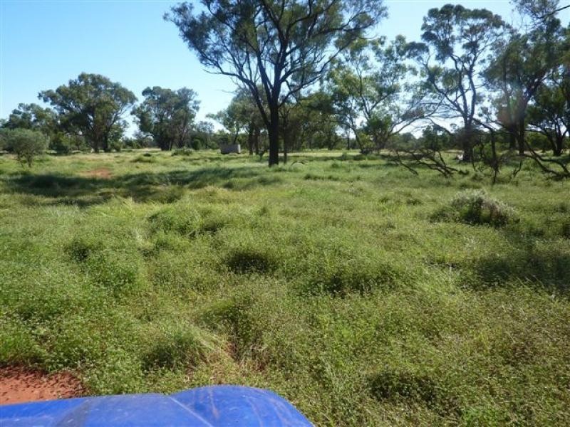 3443 Pitherty Road, Cunnamulla QLD 4490