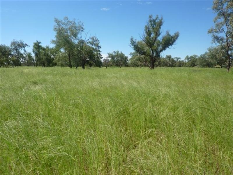 3443 Pitherty Road, Cunnamulla QLD 4490